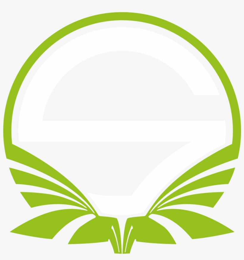 Singularitydk - Team Singularity, transparent png #3060584