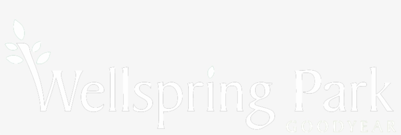 Wellspring Park - Education, transparent png #3063350