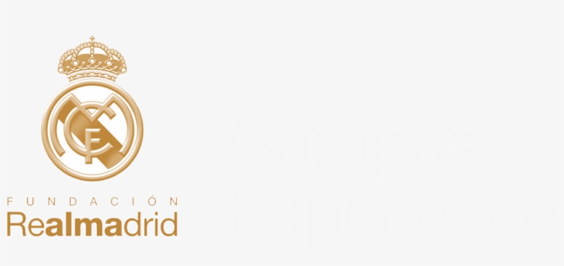 Search - - Tcs 50, transparent png #3065093