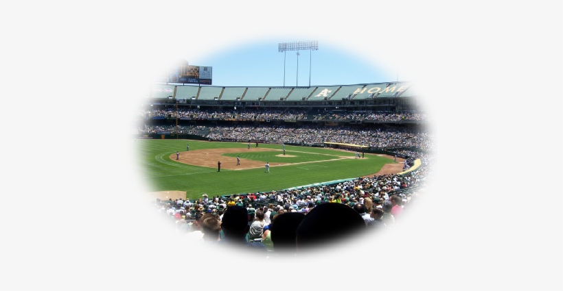 Even If You Are Not A Musician Bring Out Your Family - Oakland, transparent png #3066227