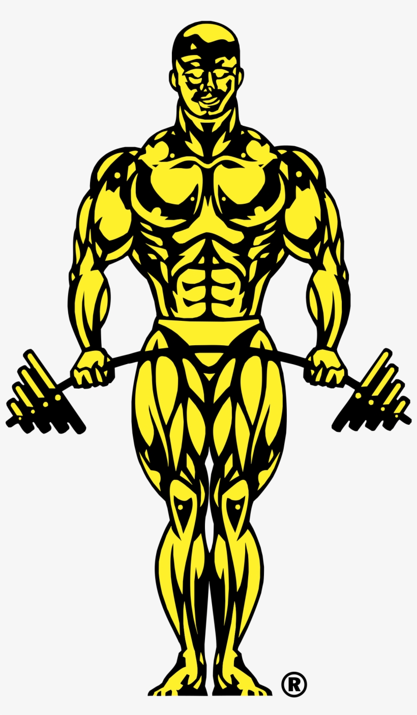 Gold's Gym Logo Png Transparent - Golds Gym Logo, transparent png #3066698