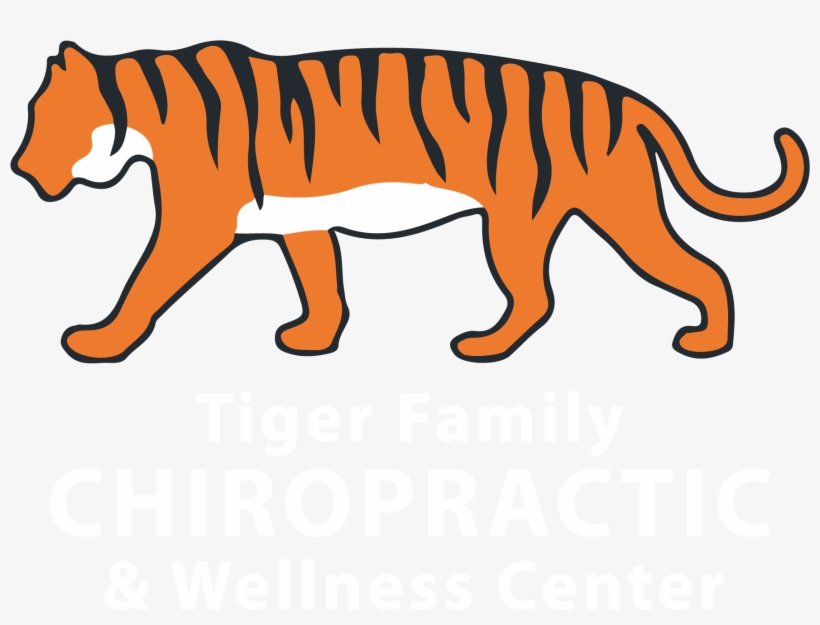Tiger Family Chiropractic - Siberian Tiger, transparent png #3071173
