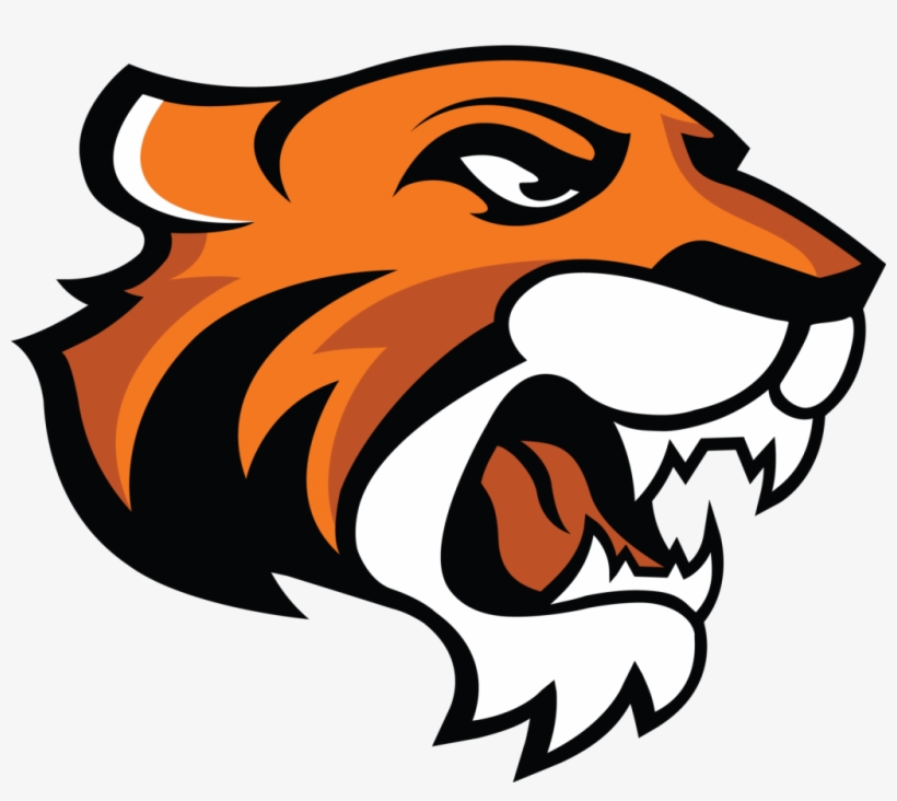 Doane Unveils New Athletics Logo - Doane Tigers, transparent png #3071488