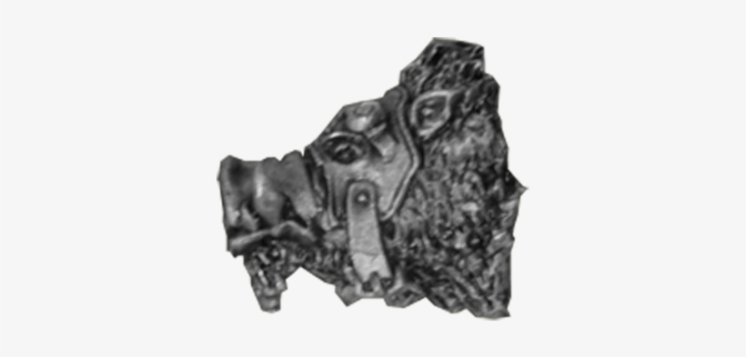 Gun Boar Head - Leather, transparent png #3071543