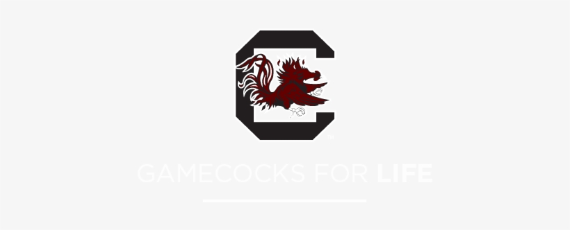 University Of South Carolina, transparent png #3071817