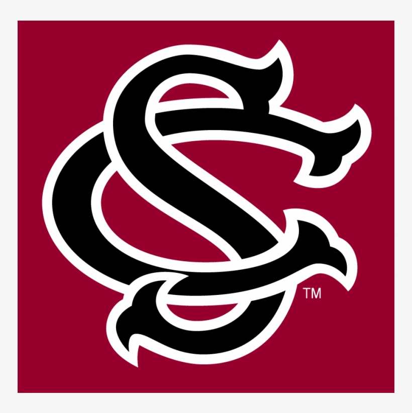 South Carolina Gamecocks Iron Ons - South Carolina Gamecocks Logo, transparent png #3071865