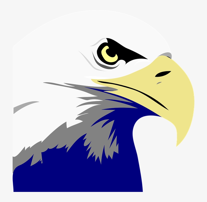 4,296 Bald Eagle Stock Vector Illustration And Royalty - Bald Eagle Art Png, transparent png #3072646