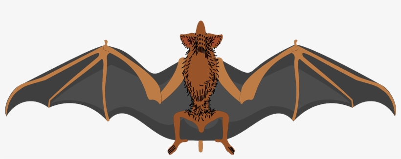 How To Set Use Bat Svg Vector, transparent png #3076770