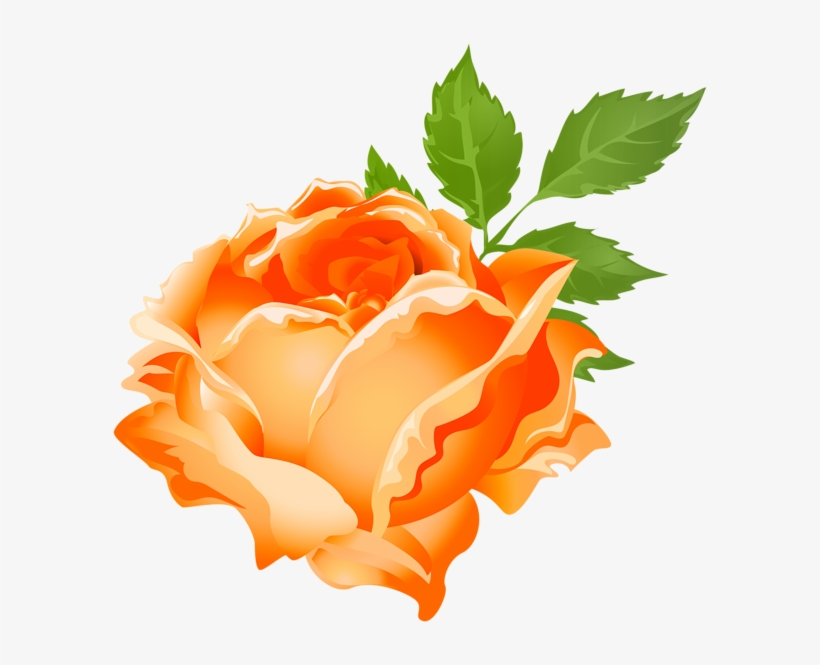 Orange Rose Png Clip Art Image - Clip Art Purple Flowers, transparent png #3077533