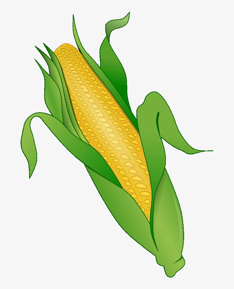 Corn Clipart Png Corn Clipart - Maize, transparent png #3077752