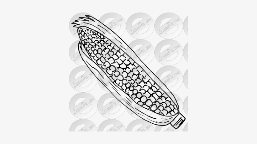 Corn Outline For Classroom Therapy Use Great Corn Clipart - Maize, transparent png #3077946