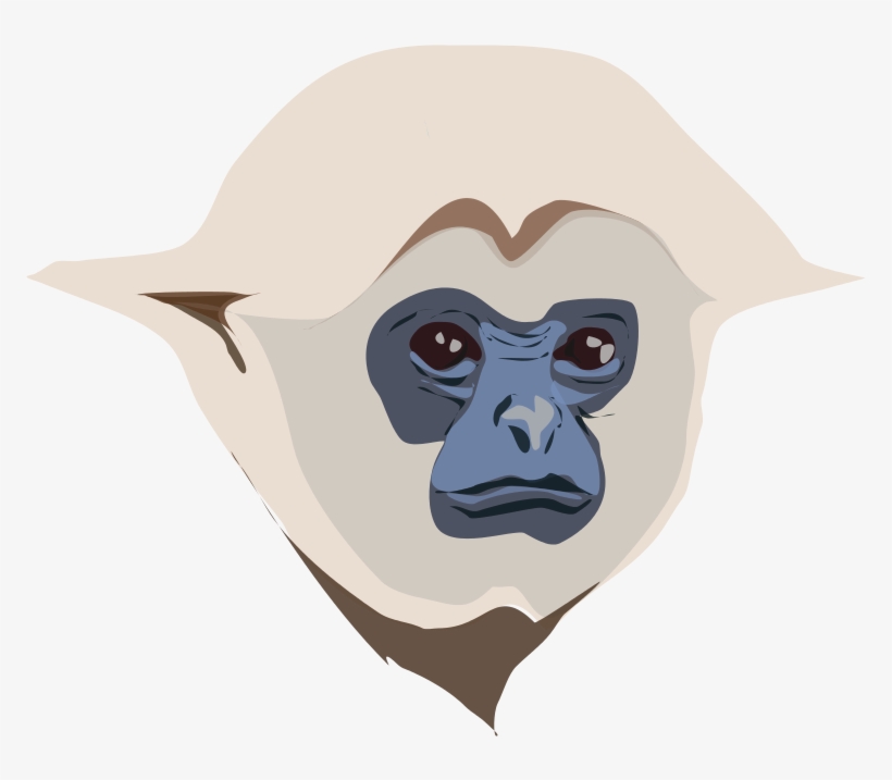 Free To Use &, Public Domain Monkey Clip Art - Personalisierter Gibbon Keramik Ornament, transparent png #3077989