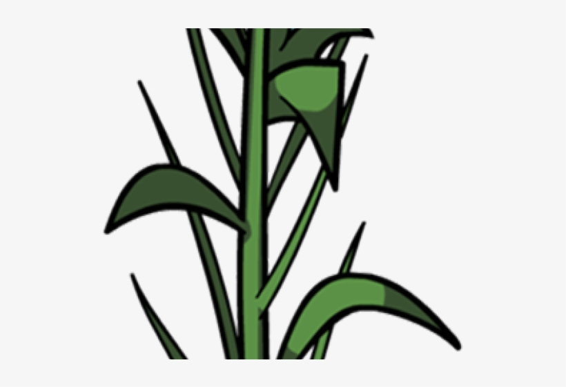 Corn Clipart Corn Leaf - Portable Network Graphics, transparent png #3078064