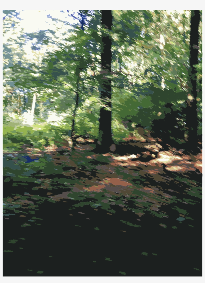 Lichtscheid Clipart Lichtscheid Temperate Broadleaf - Forest, transparent png #3078353