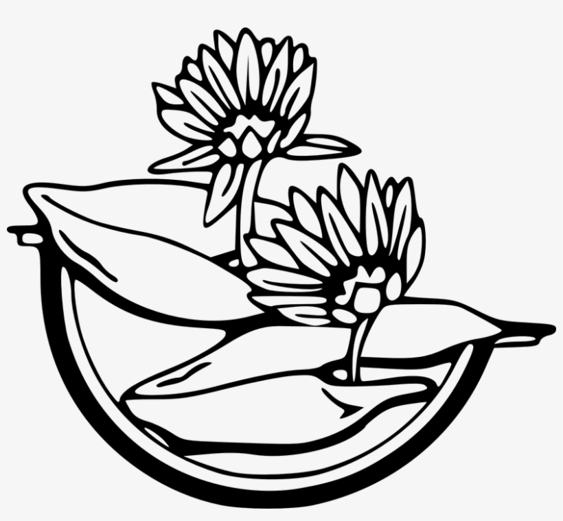 Water Black And White Free Vector Graphic Flowers Black - Water Lily Black And White Clipart, transparent png #3078370