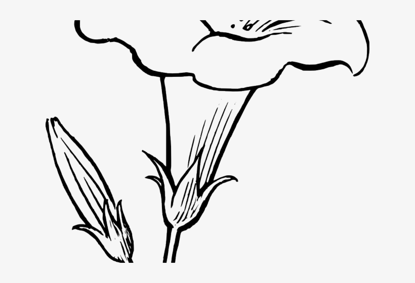 Flowers Clipart Black And White, transparent png #3078420