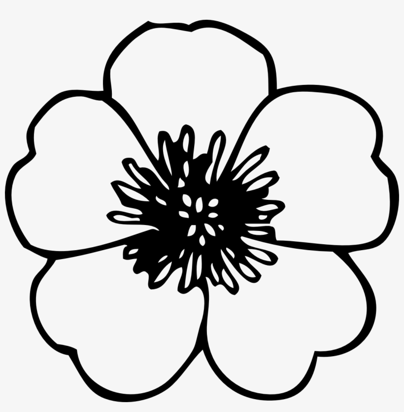 Simple Flower Clipart Black And White Drawing Of Simple Flower