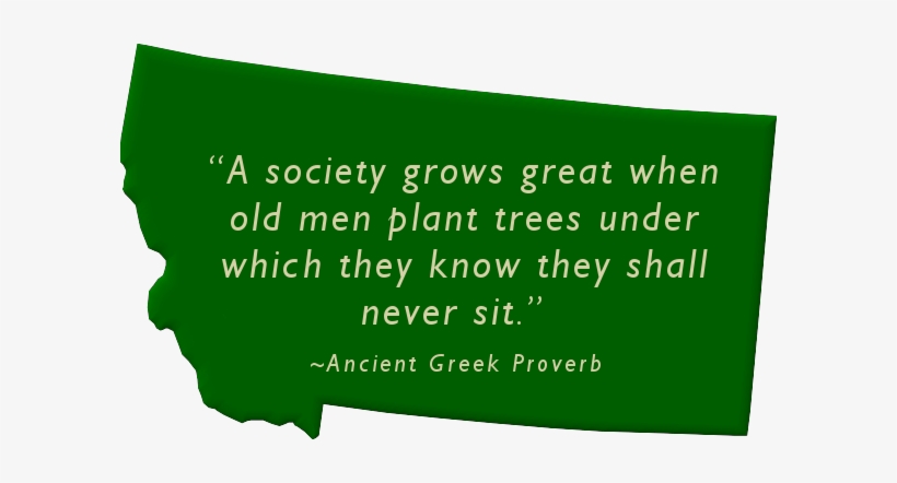 "a Society Grows Great When Old Men Plant Trees Under - Poster, transparent png #3080010