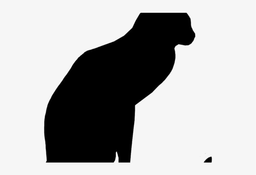 Drawn Black Cat Outline - Drawing, transparent png #3080323