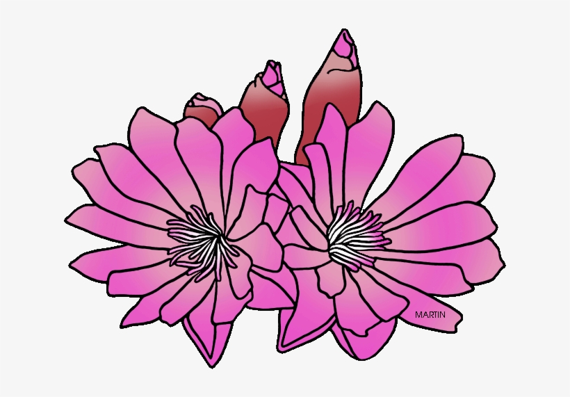 Clip Arts Related To - Montana State Flower Png, transparent png #3080376