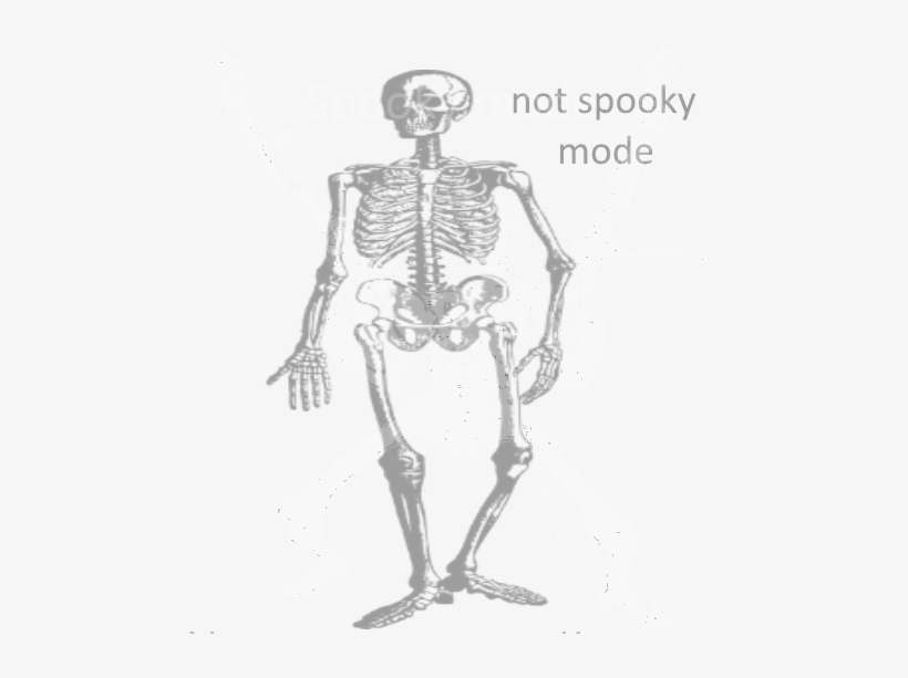 Time To Rave At Spooky Time - Skeleton, transparent png #3080714