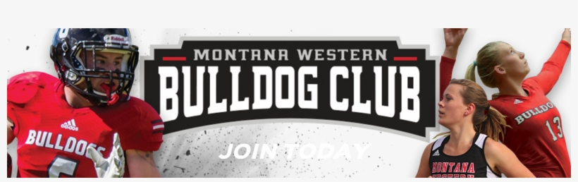 Promo Rotator - Movie, transparent png #3081028