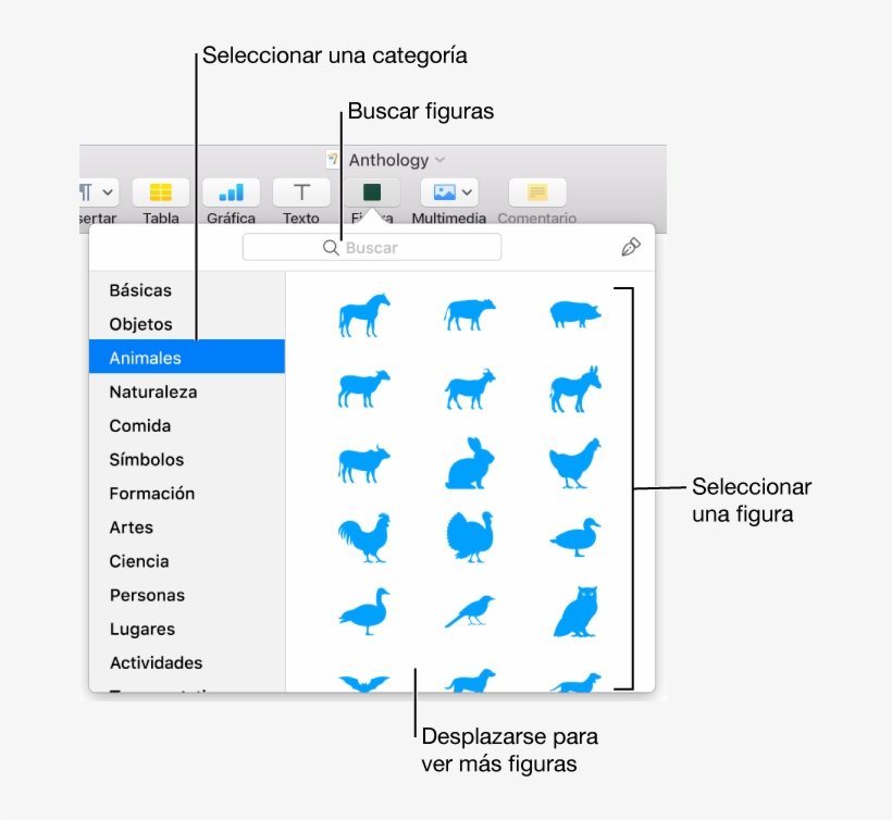 La Biblioteca De Figuras, Con Las Categorías Enumeradas - Hacer Esquemas En Pages, transparent png #3081241