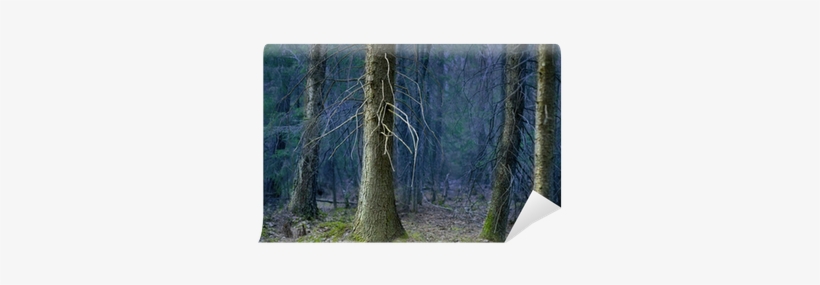 Die Suche Nach Wahrheit Mousepad, transparent png #3081731