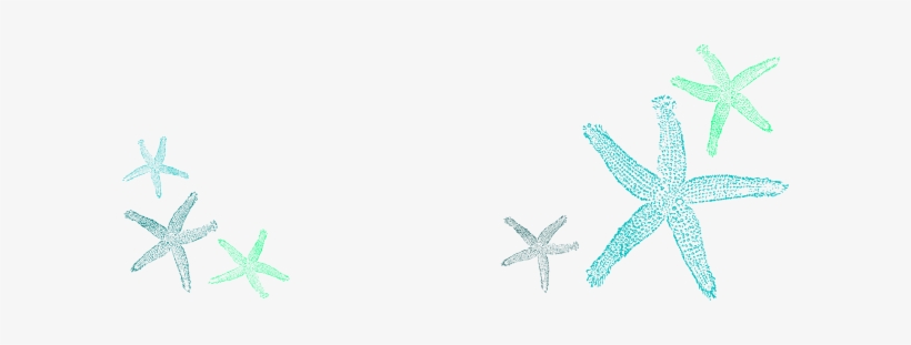 Starfish Silhouette Png Download - Fish Clip Art, transparent png #3082011