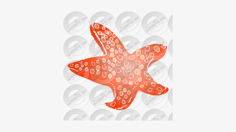 Sea Star Template - Starfish, transparent png #3082065