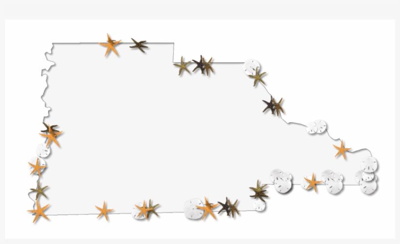 Insect, transparent png #3082116