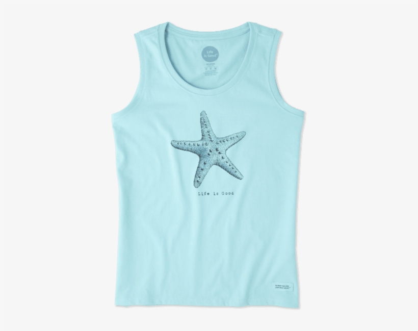 Starfish, transparent png #3082198