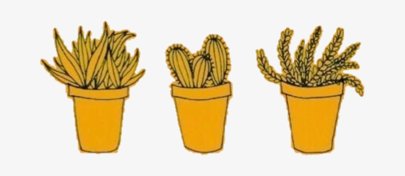 Yellow Amarillo Freetoedit Cactus Tumblr Random Aesthet - Yellow Cactus, transparent png #3082310