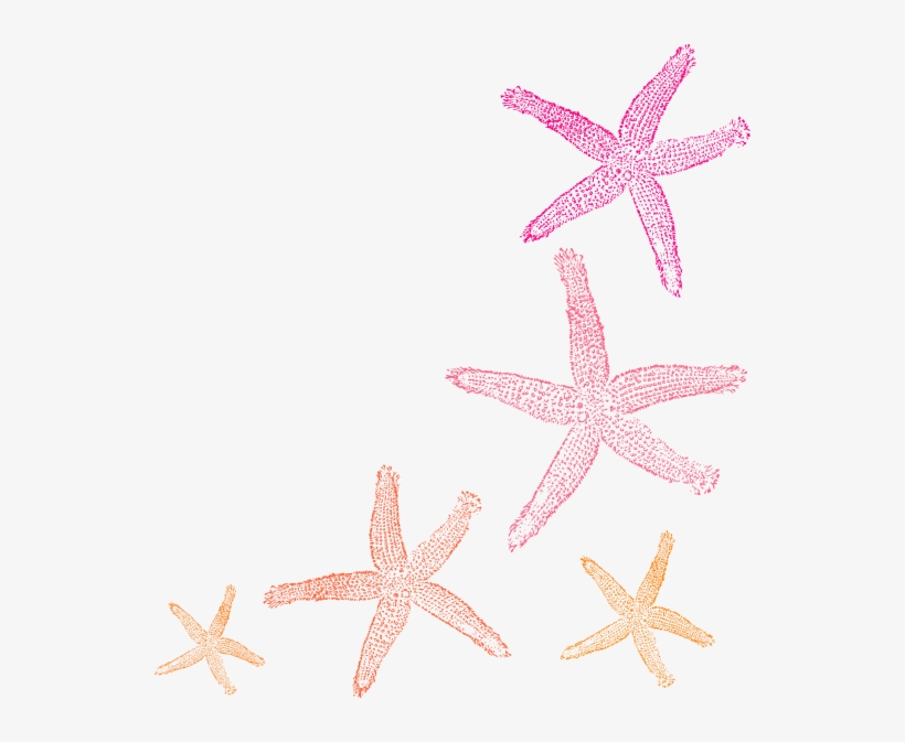 Private Listing For Pam 2 Pair Custom Angela Style, transparent png #3082373