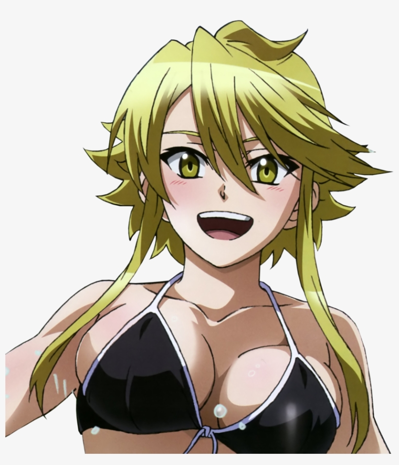 Png - Akame Ga Kill Leone Render, transparent png #3082671