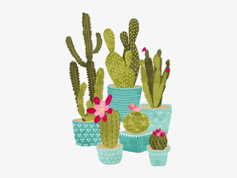 Report Abuse - Cactus, transparent png #3082677