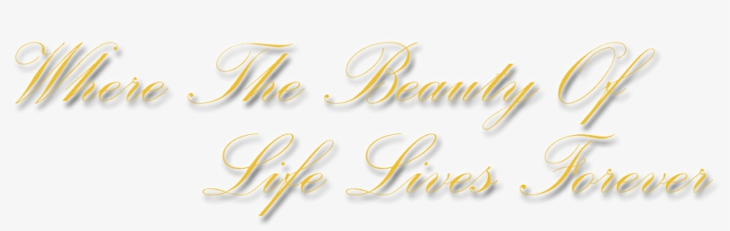 46 Pm 85076 Subdued Yellow Hilite 2/28/2018 - Calligraphy, transparent png #3083147