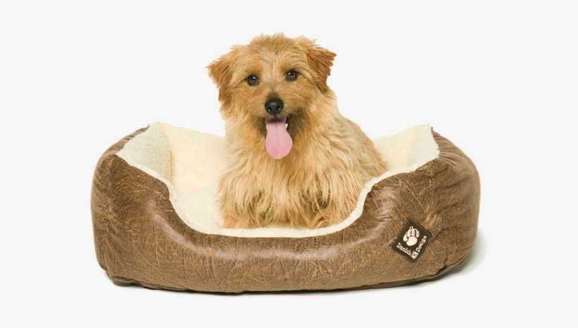 Save 30% - Dog In Bed Png, transparent png #3083853