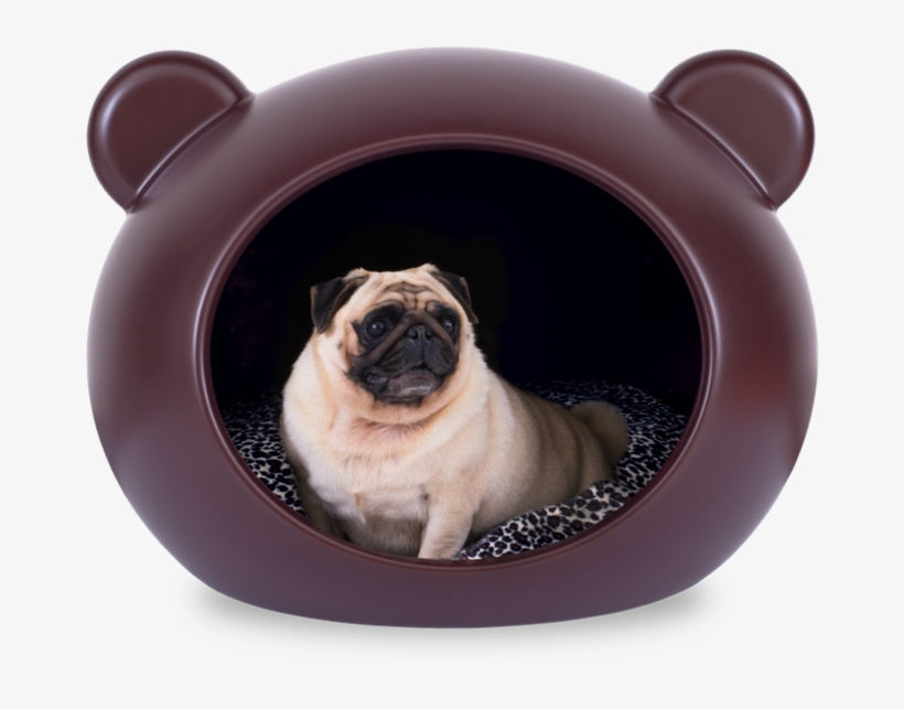 Dcmm Apt Ambientada - Dog, transparent png #3084074