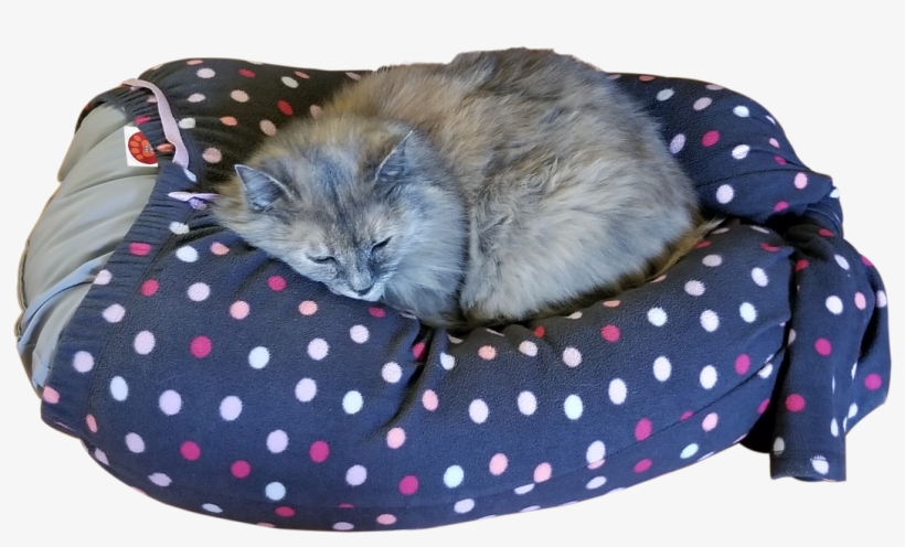 Why Mylap™ Pet Bed - Polka Dot, transparent png #3084104