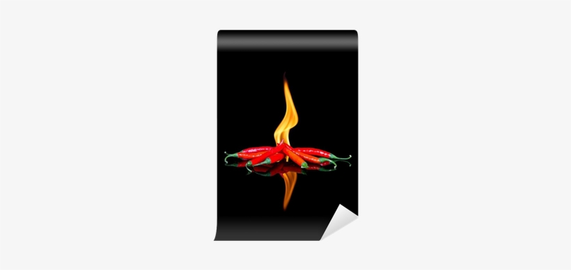 Red Chilli On Black Surface With Flames Wall Mural - Emblem, transparent png #3084131