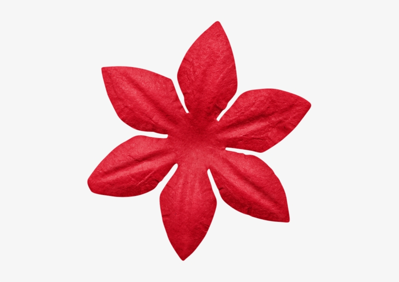 Kaagard Santaslittlehelper Flower3 - Flower, transparent png #3084181