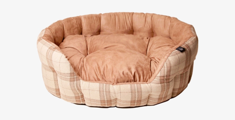 Sofa Bed, transparent png #3084349