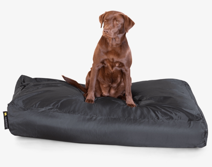 Smoothy Classic Dog Bed Xxl - Zwart, transparent png #3084710