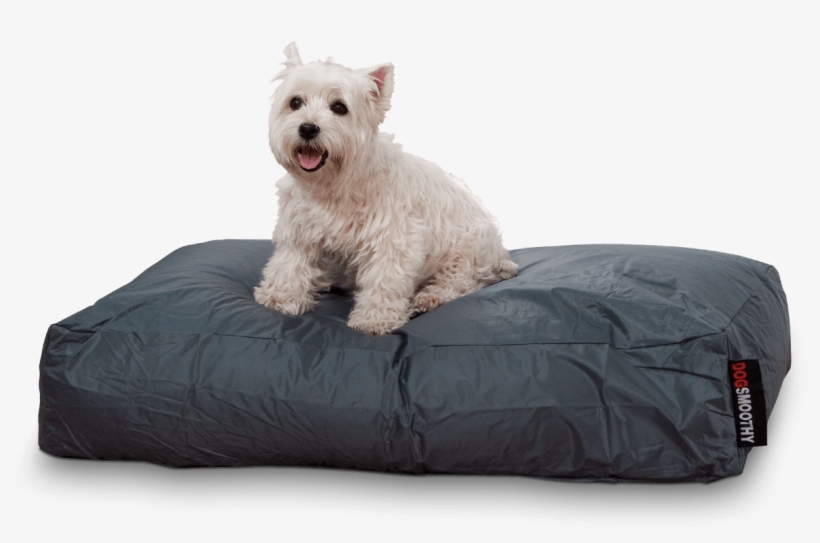Smoothy Duvet Smoothy Gray, transparent png #3084979