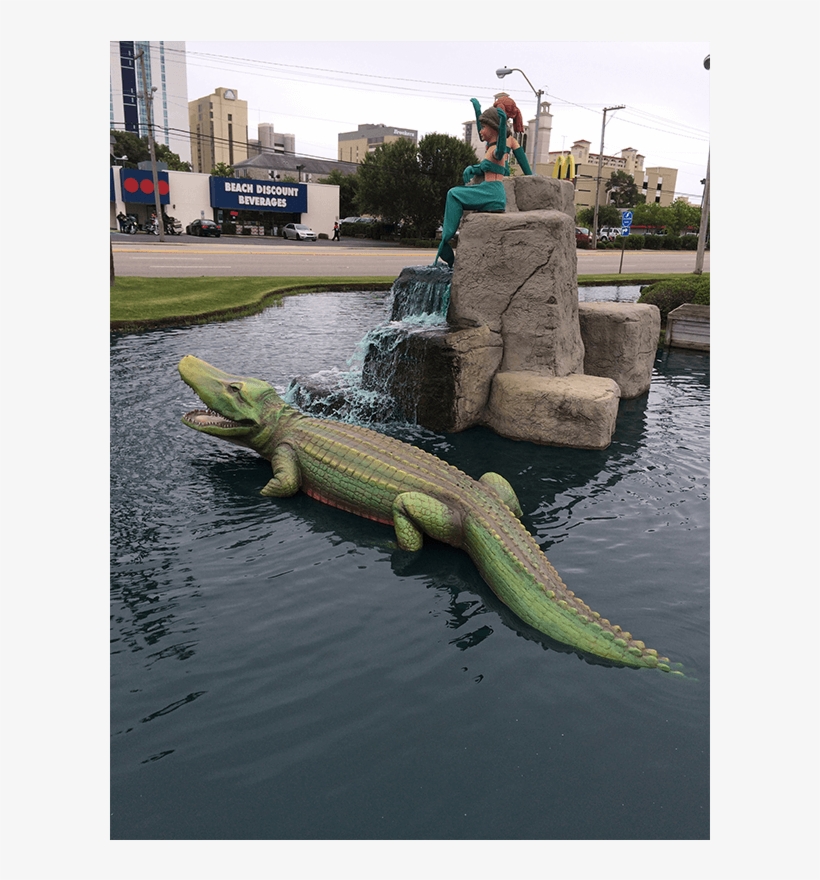 Green Iguana, transparent png #3085086
