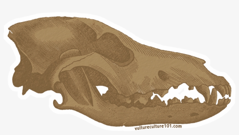 Vulture Culture 101 Stretch Goals - Bat, transparent png #3085244