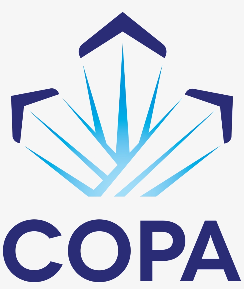 Our Annual Rust Remover Will Be Held Saturday, April - Copa Systeme, transparent png #3085427