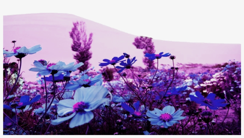 Garden Design With Wallpapers Spring Flowers, transparent png #3086358