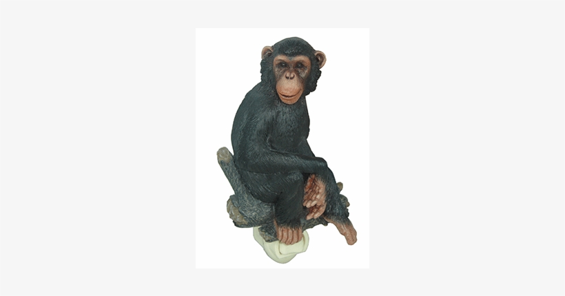 Chimpanzee Night Light - Chimpanzee, transparent png #3086680